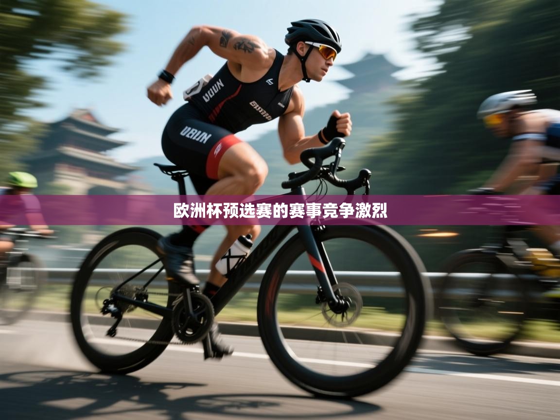 欧洲杯预选赛的赛事竞争激烈 第1张