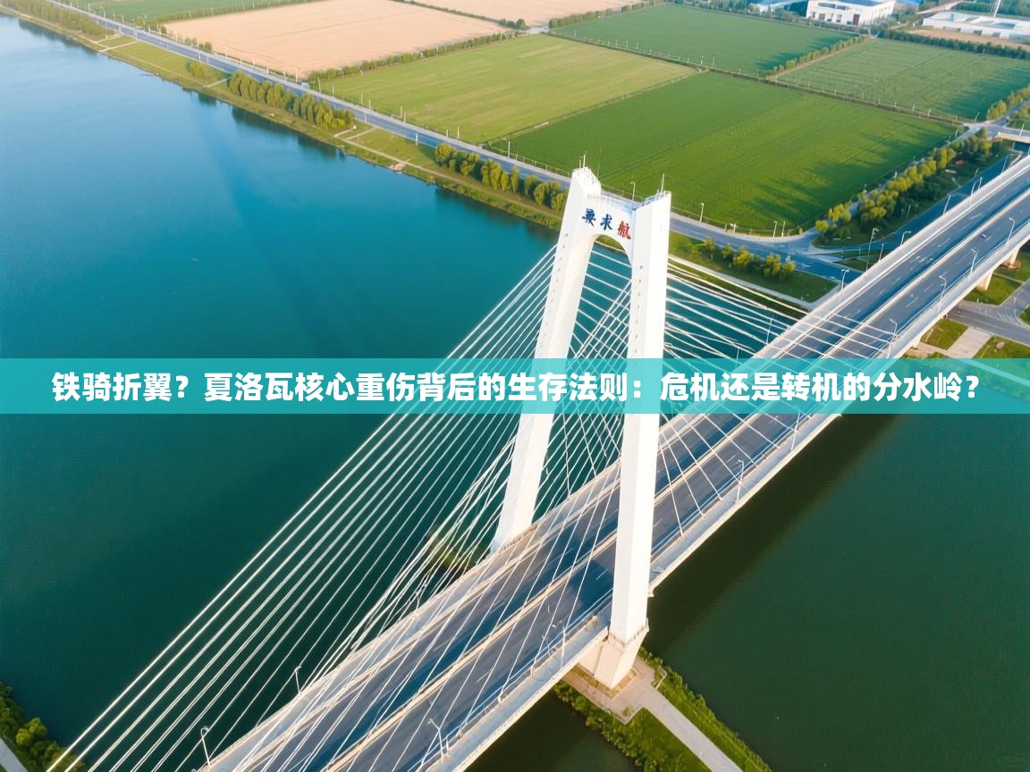 铁骑折翼？夏洛瓦核心重伤背后的生存法则：危机还是转机的分水岭？  第1张