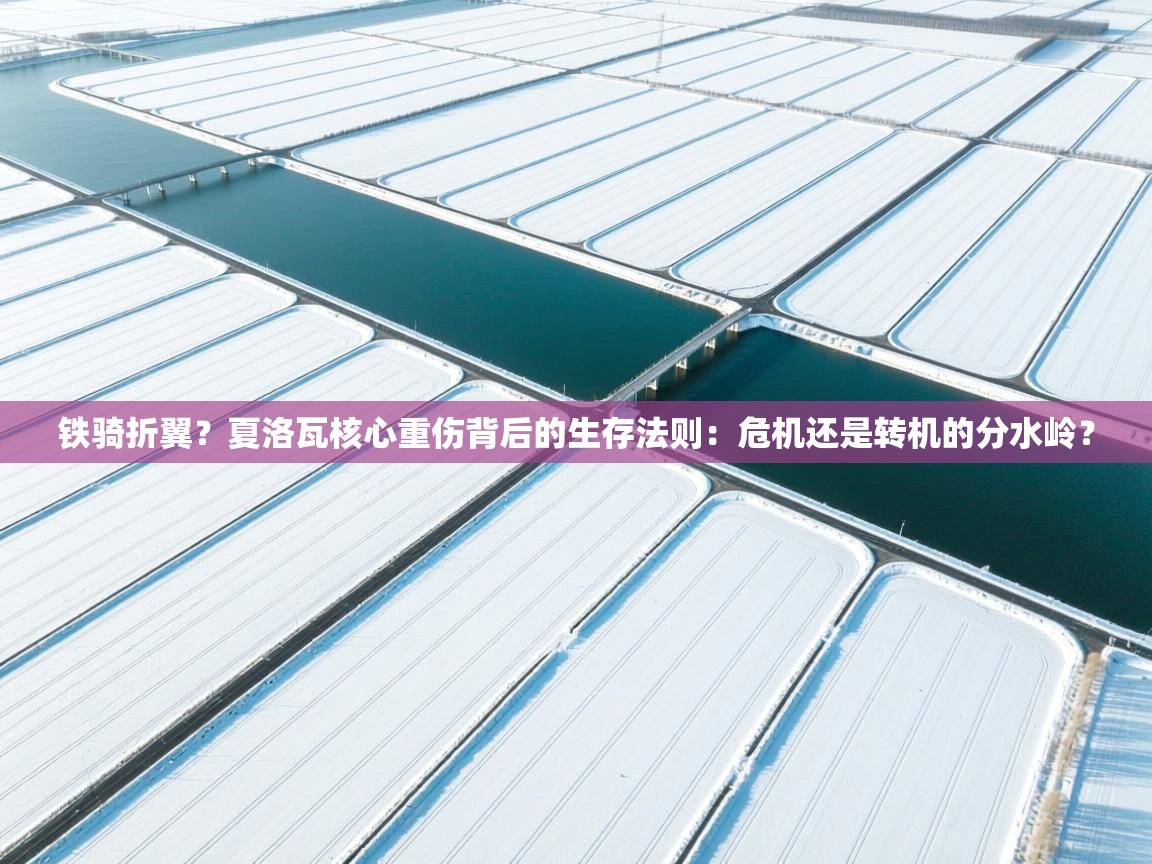 铁骑折翼？夏洛瓦核心重伤背后的生存法则：危机还是转机的分水岭？  第2张